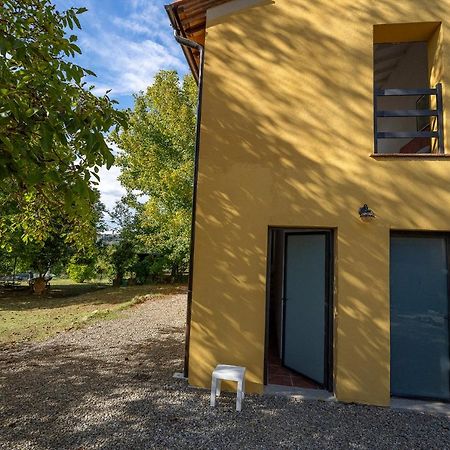 Agriturismo La Valle Peccioli Bagian luar foto