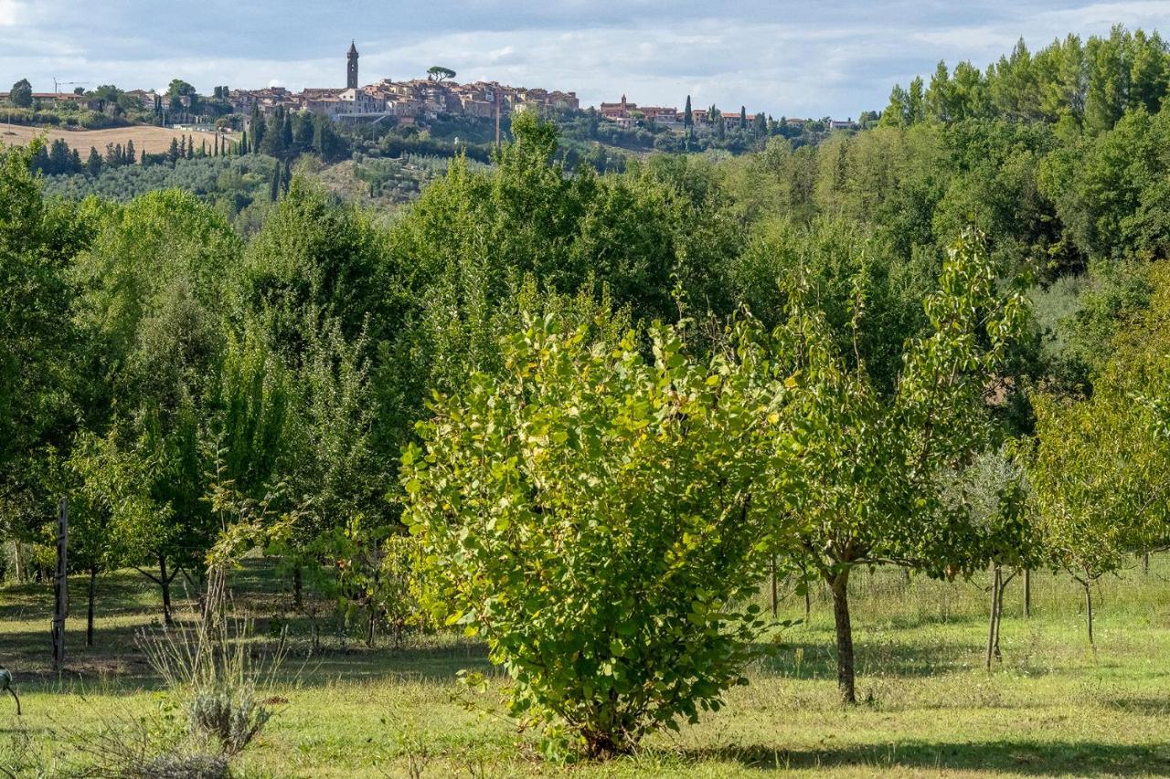 Agriturismo La Valle Peccioli Bagian luar foto